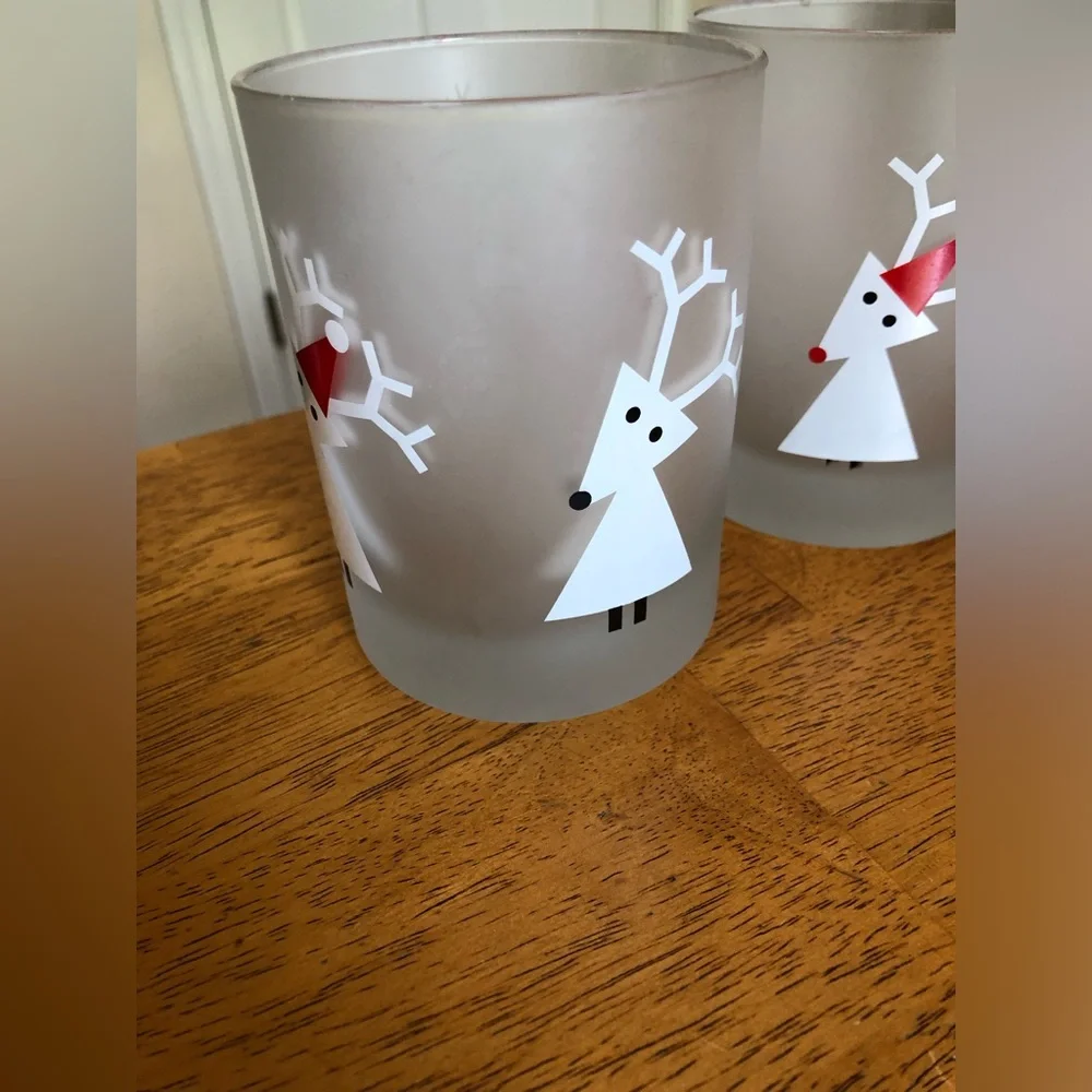 NWT 4 frosted glasses- Crate&Barrel